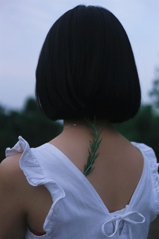 後ろ姿のボブスタイル